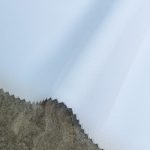A1